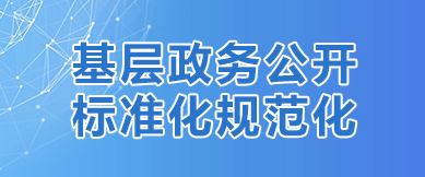 基层政务公开标准化规范化