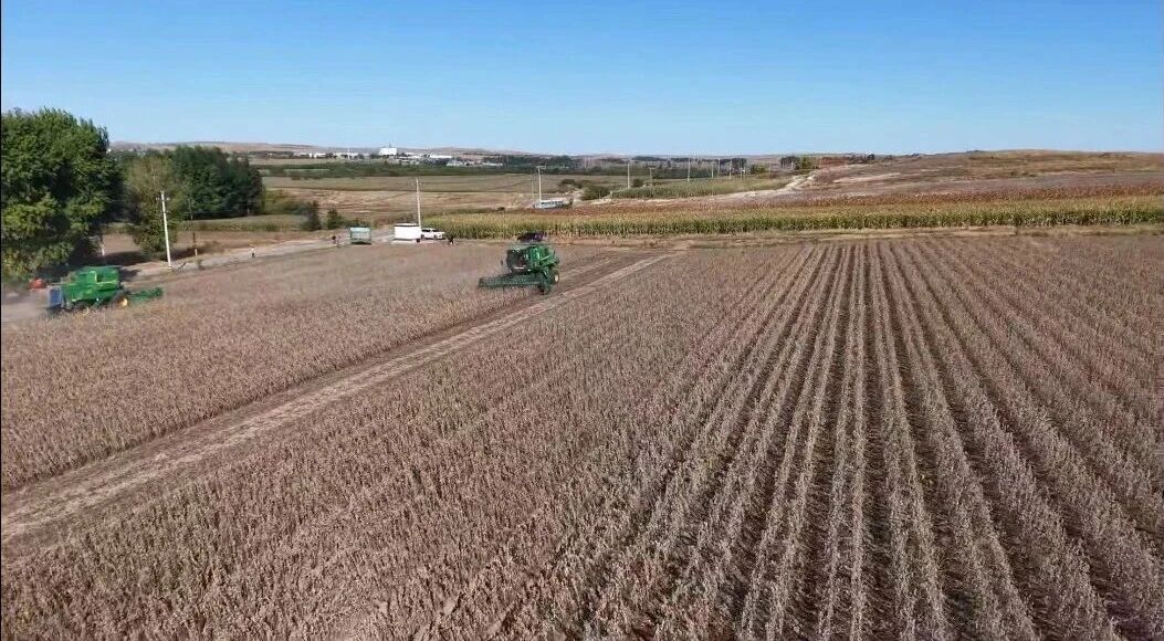 科技赋能 “豆”志昂扬——扎赉特旗“十四五”期间大豆单产连增破纪录纪实