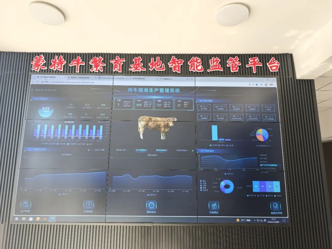 【乡村振兴】扎赉特旗华昇农牧业投资有限责任公司：智慧系统即将上线 按下智慧养殖“加速键”