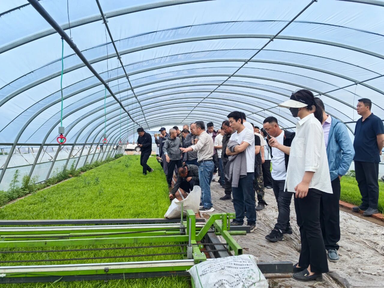 自治区水稻绿色提质增效技术“团队支撑”示范推广项目启动会暨兴安盟水稻插秧现场观摩会在扎赉特旗召开