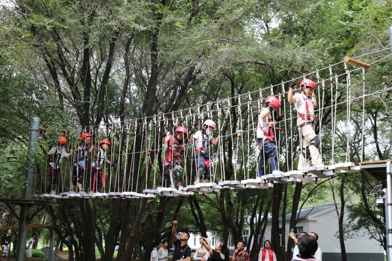 杉林奇遇，童趣满档！团旗委亲子研学活动，解锁夏日成长新体验